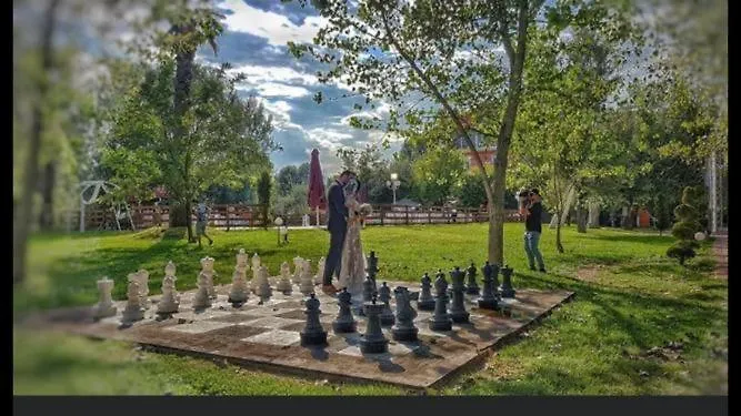 Classic Buggy Paralía